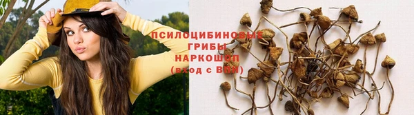 мяу мяу мука Алзамай