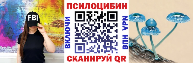Галлюциногенные грибы Psilocybe  дарнет шоп  Богородск 