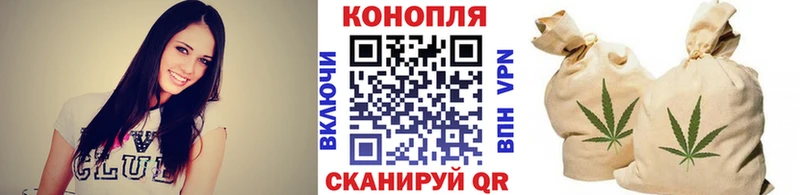 Бошки Шишки SATIVA & INDICA  купить наркоту  гидра как зайти  Богородск 